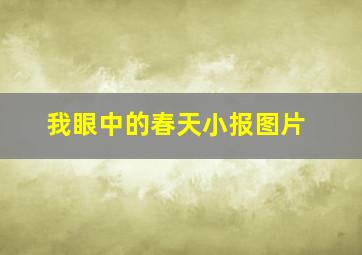 我眼中的春天小报图片