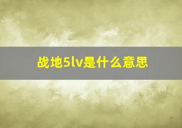 战地5lv是什么意思