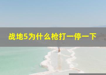 战地5为什么枪打一停一下