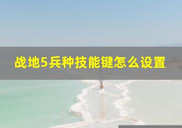 战地5兵种技能键怎么设置