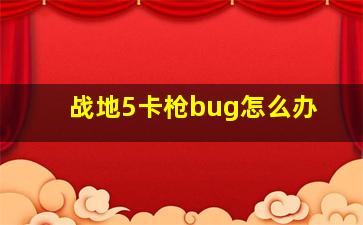 战地5卡枪bug怎么办