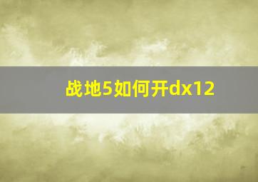 战地5如何开dx12