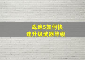 战地5如何快速升级武器等级