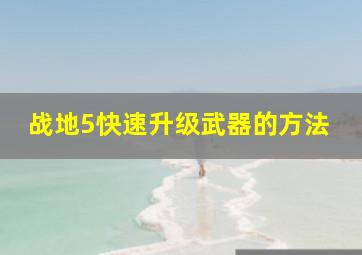 战地5快速升级武器的方法