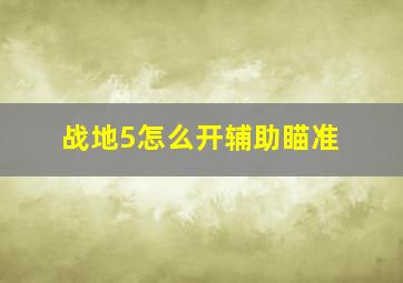 战地5怎么开辅助瞄准