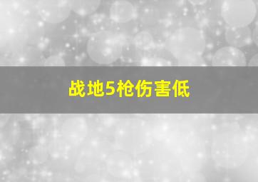 战地5枪伤害低