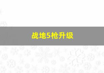 战地5枪升级