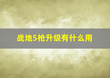 战地5枪升级有什么用