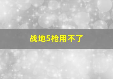 战地5枪用不了