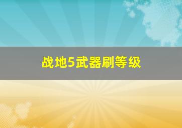 战地5武器刷等级