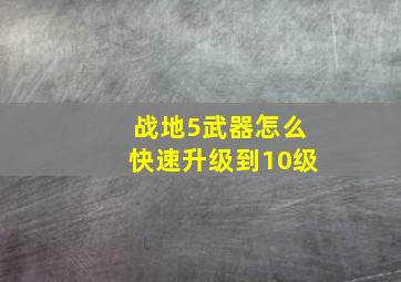 战地5武器怎么快速升级到10级