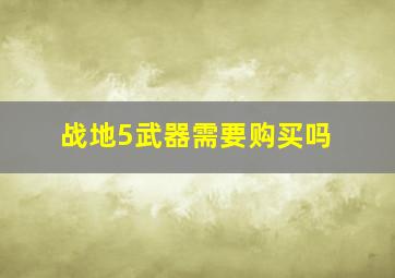 战地5武器需要购买吗