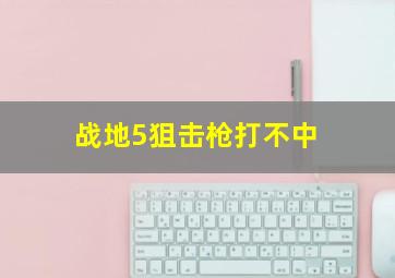 战地5狙击枪打不中