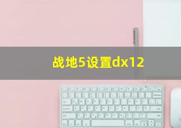 战地5设置dx12