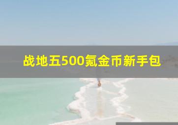 战地五500氪金币新手包