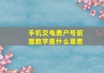 手机交电费户号前面数字是什么意思