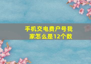 手机交电费户号我家怎么是12个数