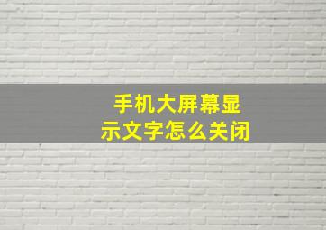 手机大屏幕显示文字怎么关闭