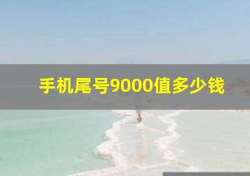 手机尾号9000值多少钱