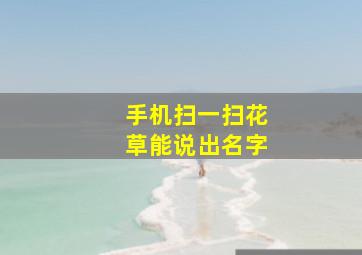 手机扫一扫花草能说出名字