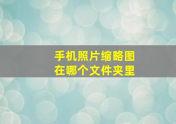 手机照片缩略图在哪个文件夹里