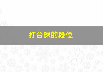 打台球的段位