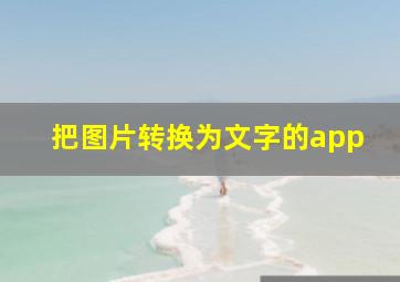 把图片转换为文字的app