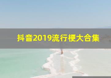 抖音2019流行梗大合集