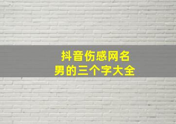 抖音伤感网名男的三个字大全