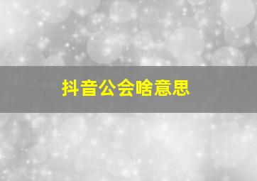 抖音公会啥意思