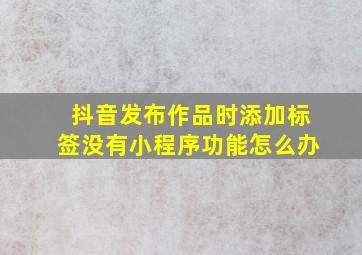 抖音发布作品时添加标签没有小程序功能怎么办