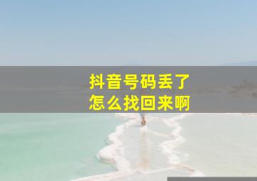 抖音号码丢了怎么找回来啊