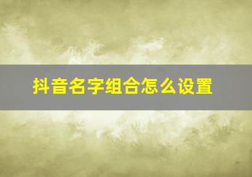 抖音名字组合怎么设置