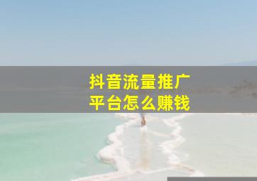 抖音流量推广平台怎么赚钱