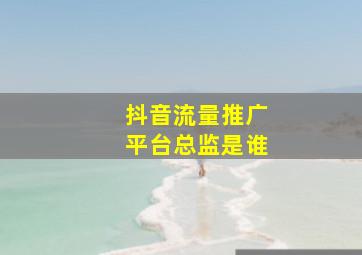 抖音流量推广平台总监是谁