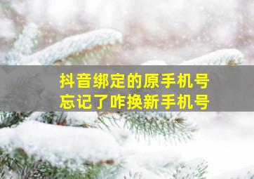 抖音绑定的原手机号忘记了咋换新手机号