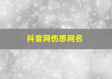 抖音网伤感网名