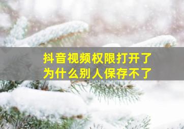 抖音视频权限打开了为什么别人保存不了