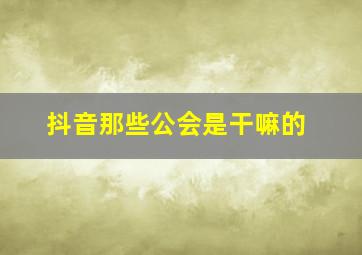 抖音那些公会是干嘛的