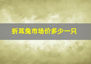 折耳兔市场价多少一只