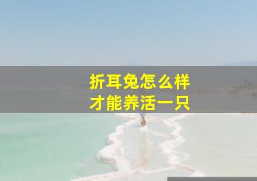 折耳兔怎么样才能养活一只