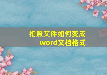 拍照文件如何变成word文档格式