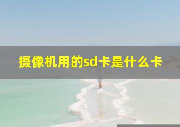 摄像机用的sd卡是什么卡