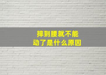 摔到腰就不能动了是什么原因