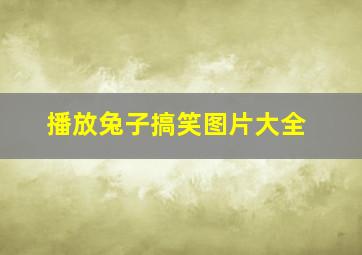 播放兔子搞笑图片大全