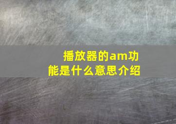 播放器的am功能是什么意思介绍