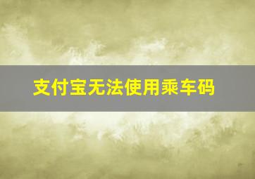 支付宝无法使用乘车码