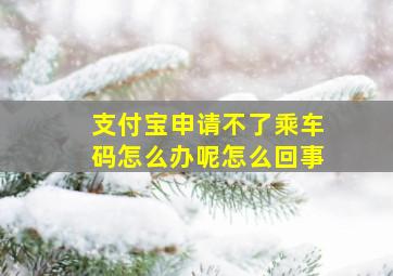 支付宝申请不了乘车码怎么办呢怎么回事