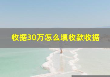 收据30万怎么填收款收据