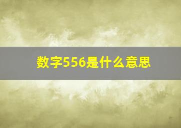 数字556是什么意思